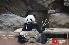 <b>澳门金沙赌场_澳门金沙网址_澳门金沙网站_弘扬中国传统文化</b>