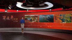 澳门金沙赌场_澳门金沙网址_澳门金沙网站_重点做好垃圾污水治理、厕所革命、